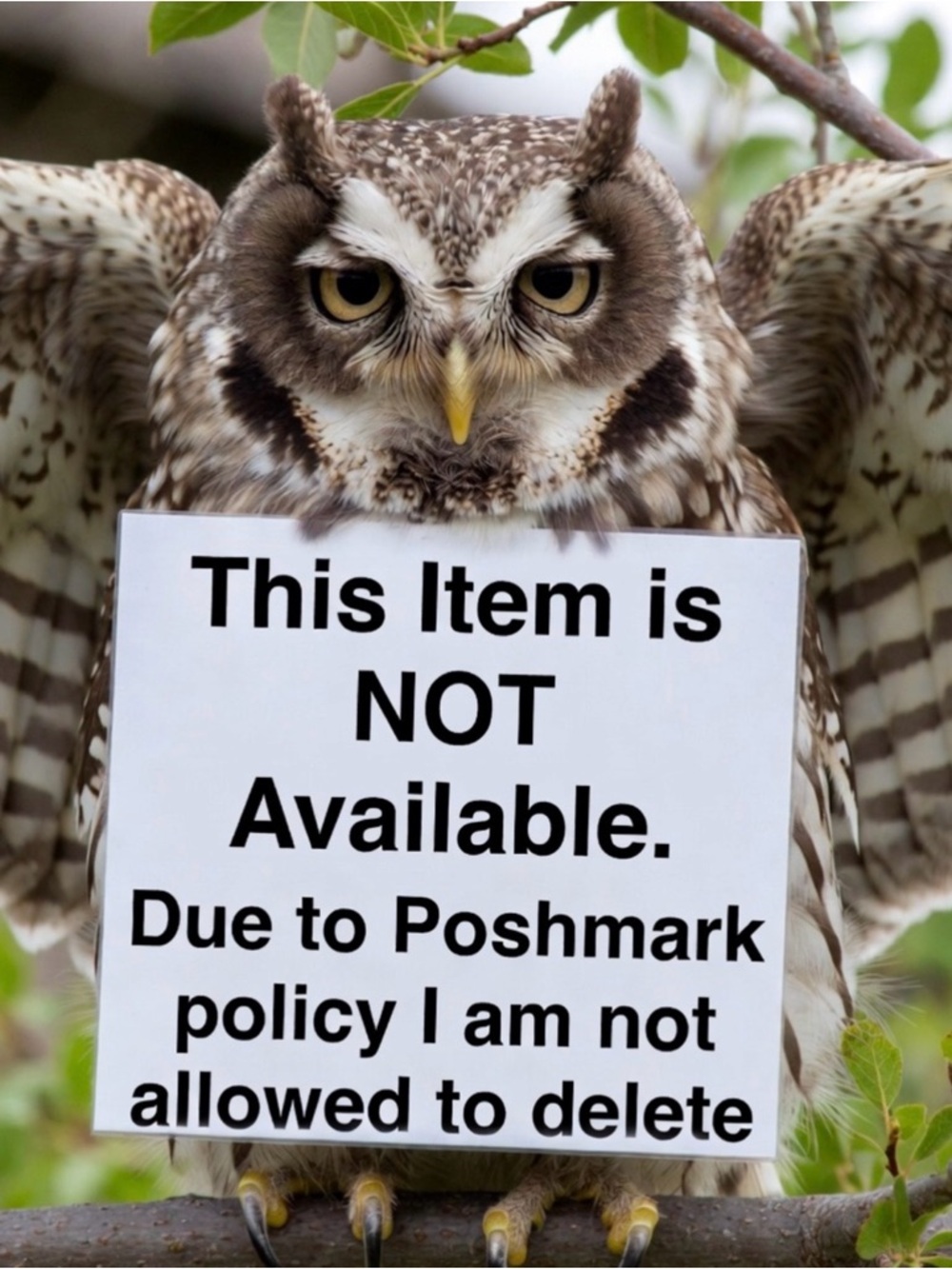 NOT AVAILABLE